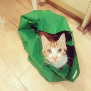 Going in bags is on Jeremiahs list of favourite things